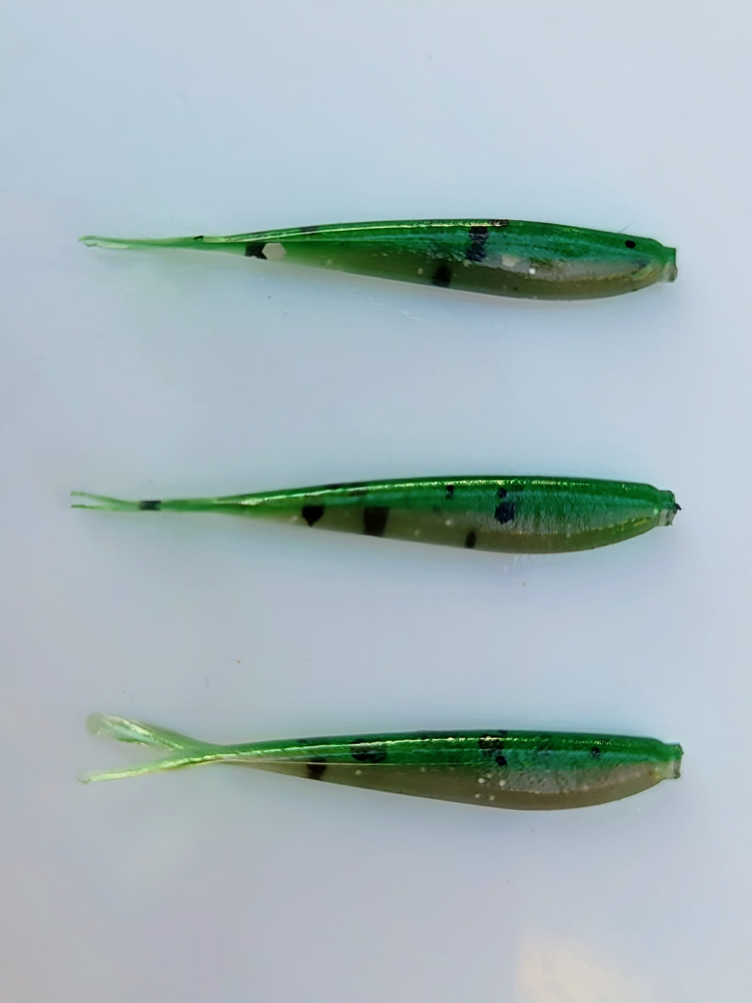 Minnows-Grasshopper OG 1