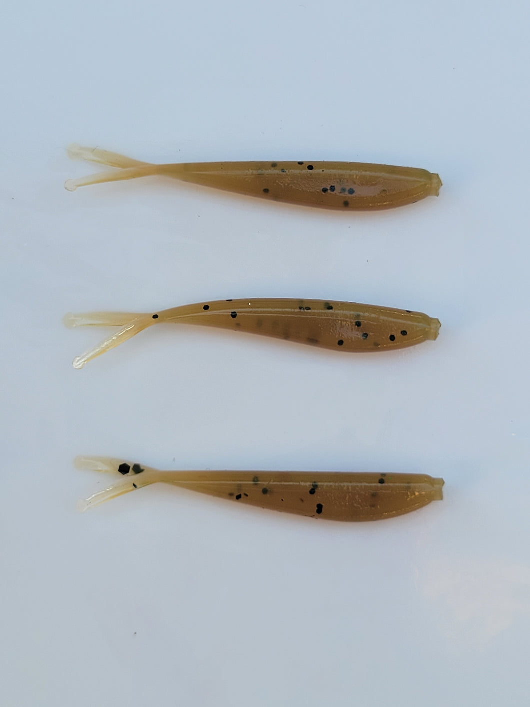 Minnows-Homemade Oil 1