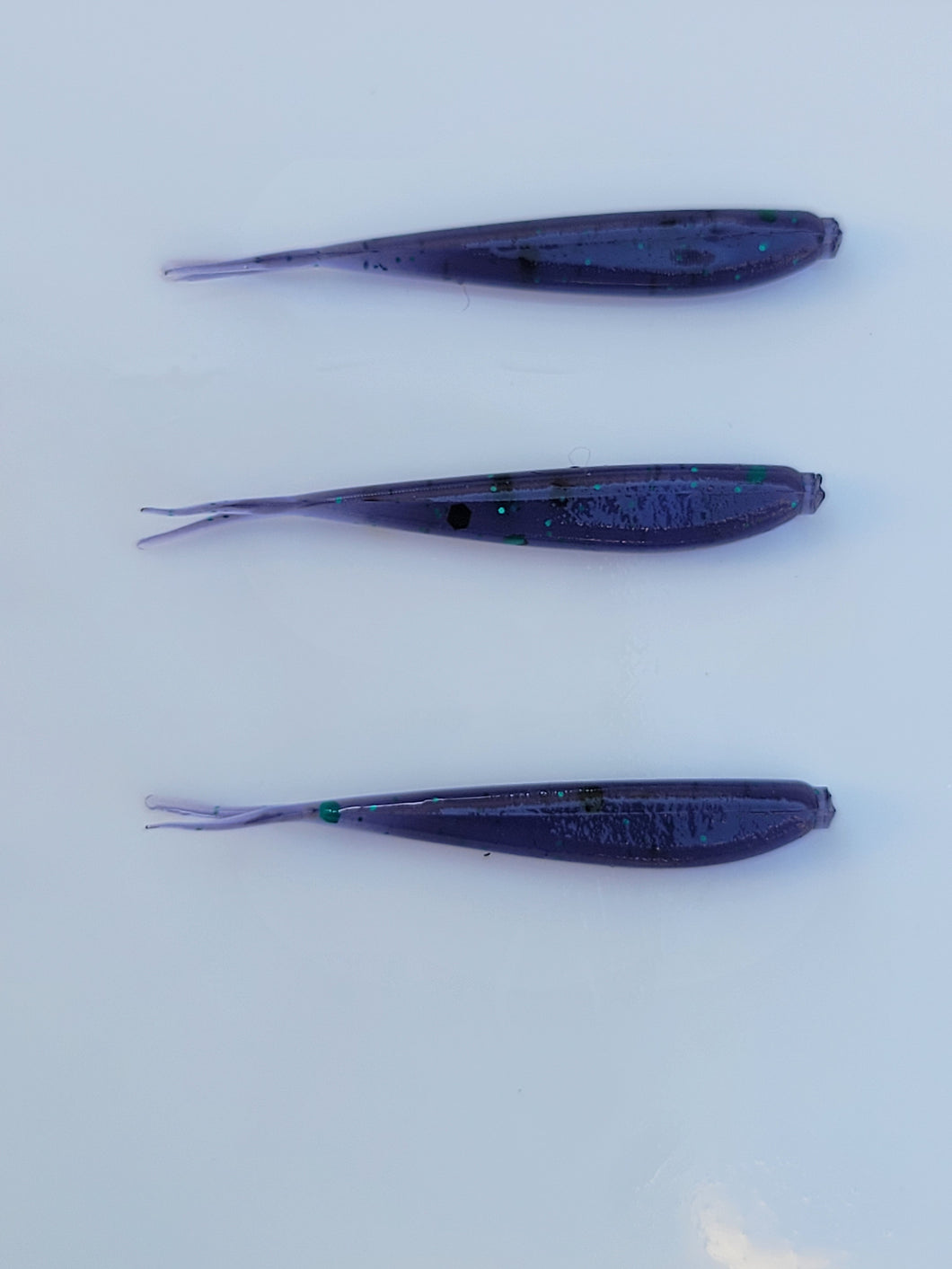 Minnows-Junebug 1