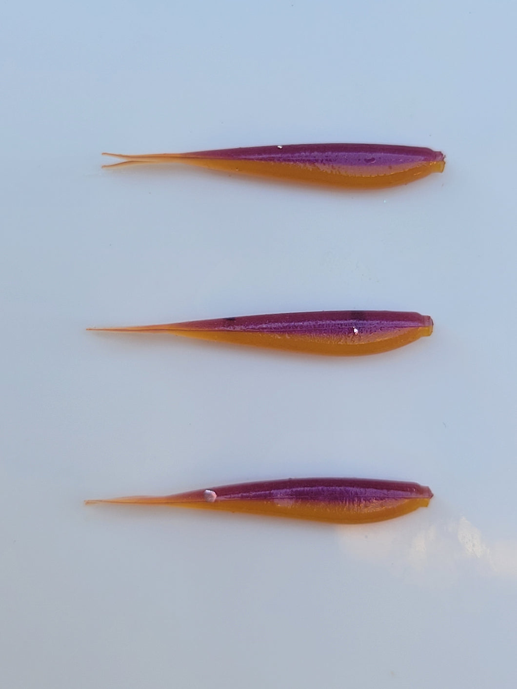 Minnows-Purple Yellow 1